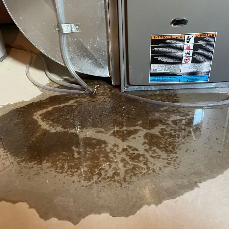 Pipe Burst and Leak Restoration in Uniontown, OH