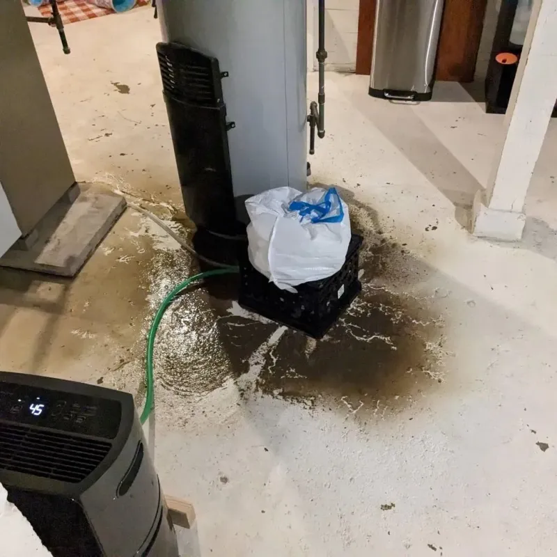 Sewage Backup Cleanup Service in Uniontown, OH